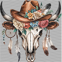 Country music-CM-1376